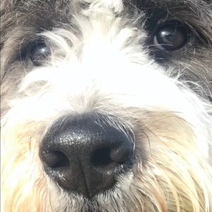 Meet your Posher, Robin